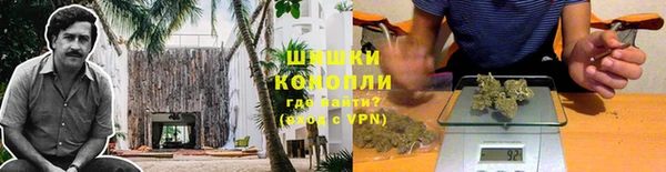 шишки Мегион