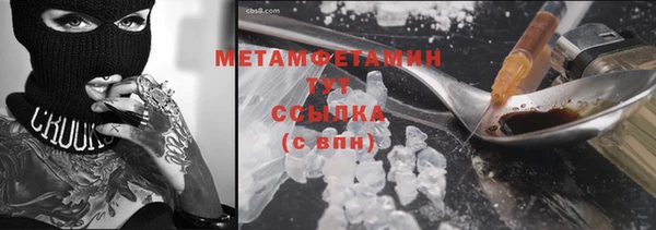 шишки Мегион
