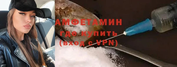 шишки Мегион