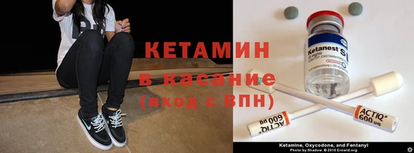 шишки Мегион