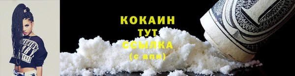 шишки Мегион