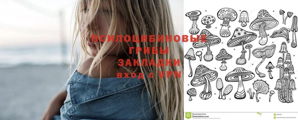 прущие крисы Михайловка